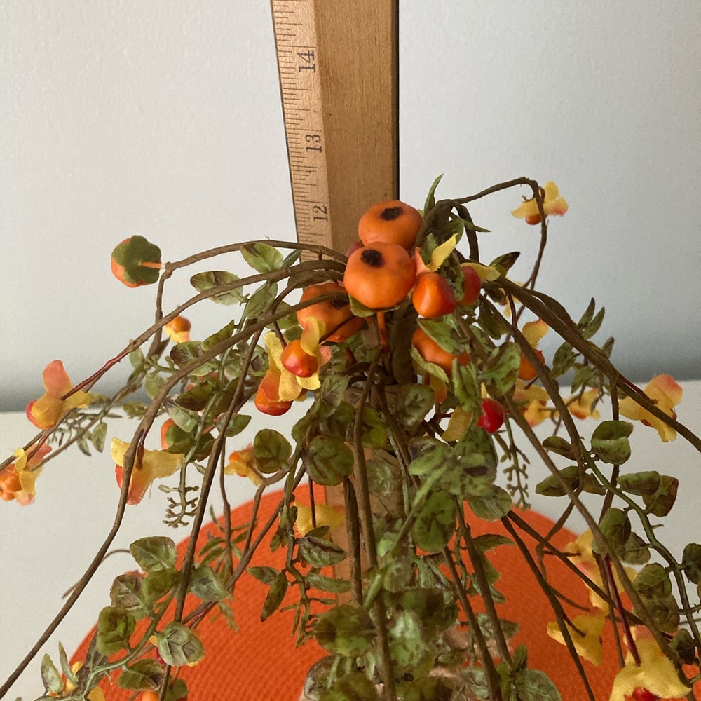 Fall decor - Picture 3 of 5